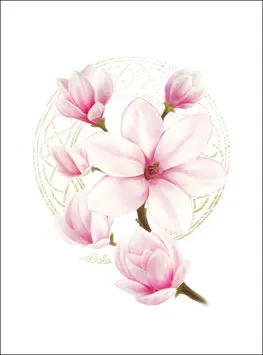 Magnolie